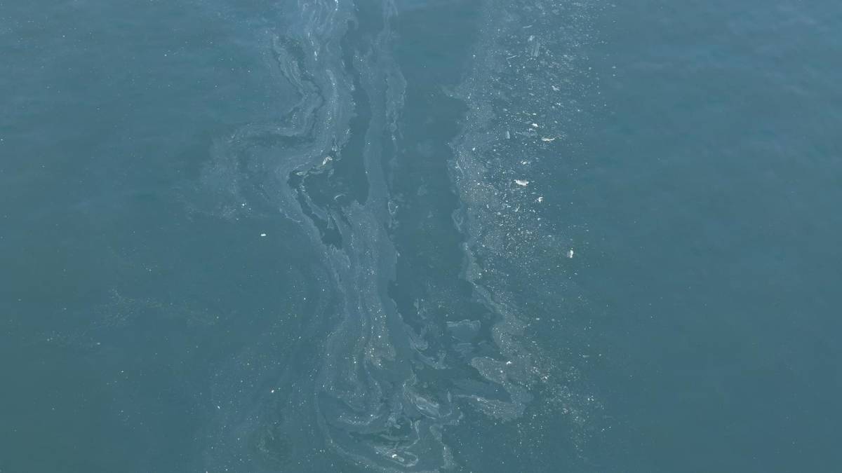 İzmir Körfezi'nde yine kirlilik tespit edildi