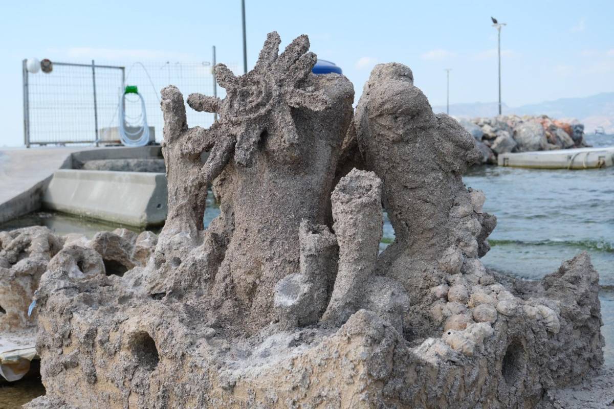 Deniz kabuklarıyla Körfez’e yeni hayat