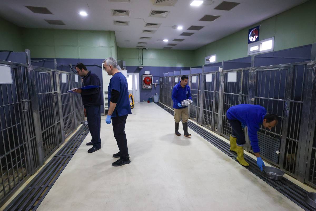 Buca’nın can dostlarına “beş yıldızlı” bakım