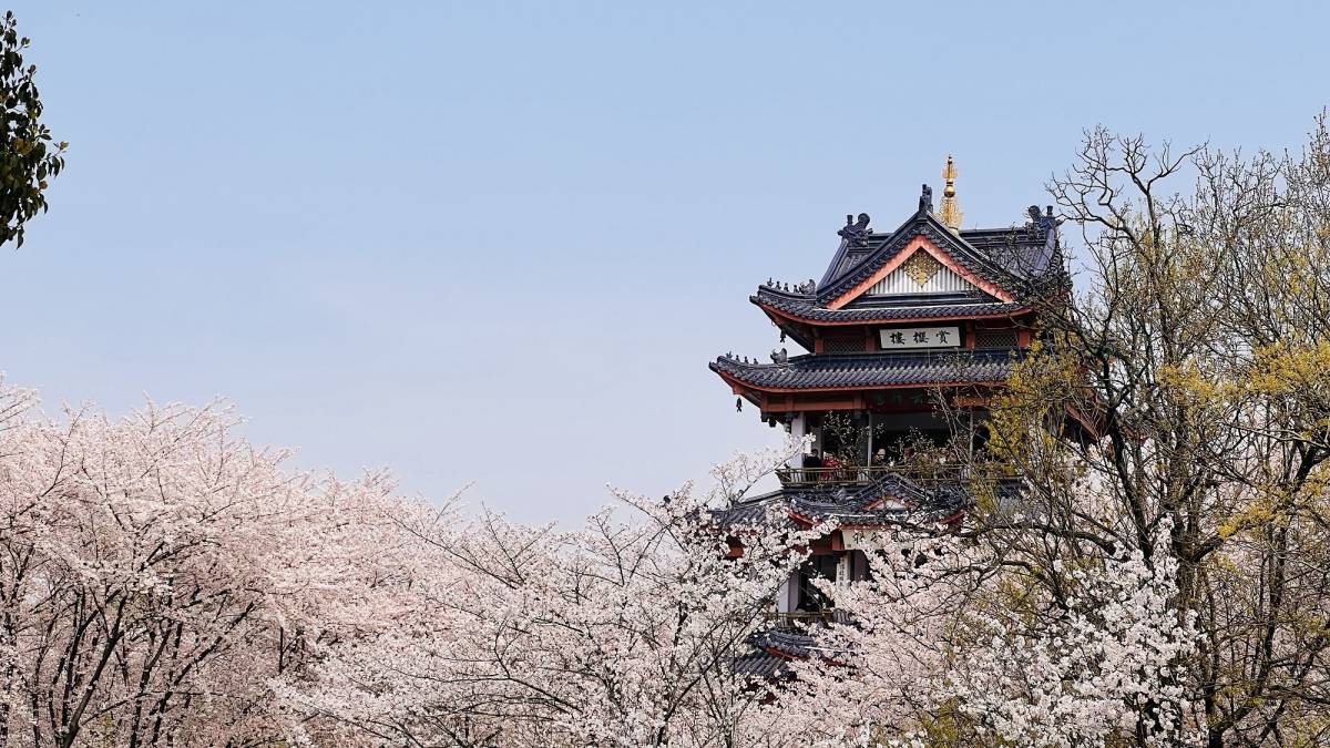 Kardeş şehirler kadrajda buluştu