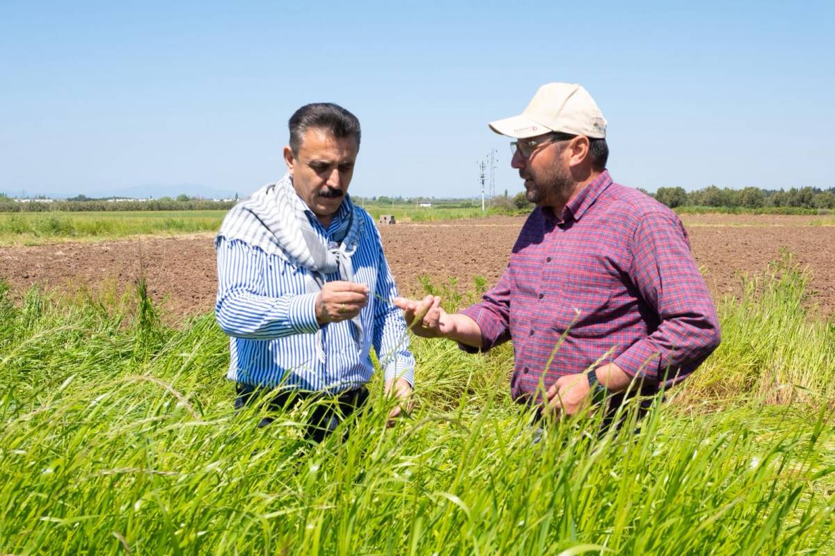 Başkan Kırgöz traktör başında