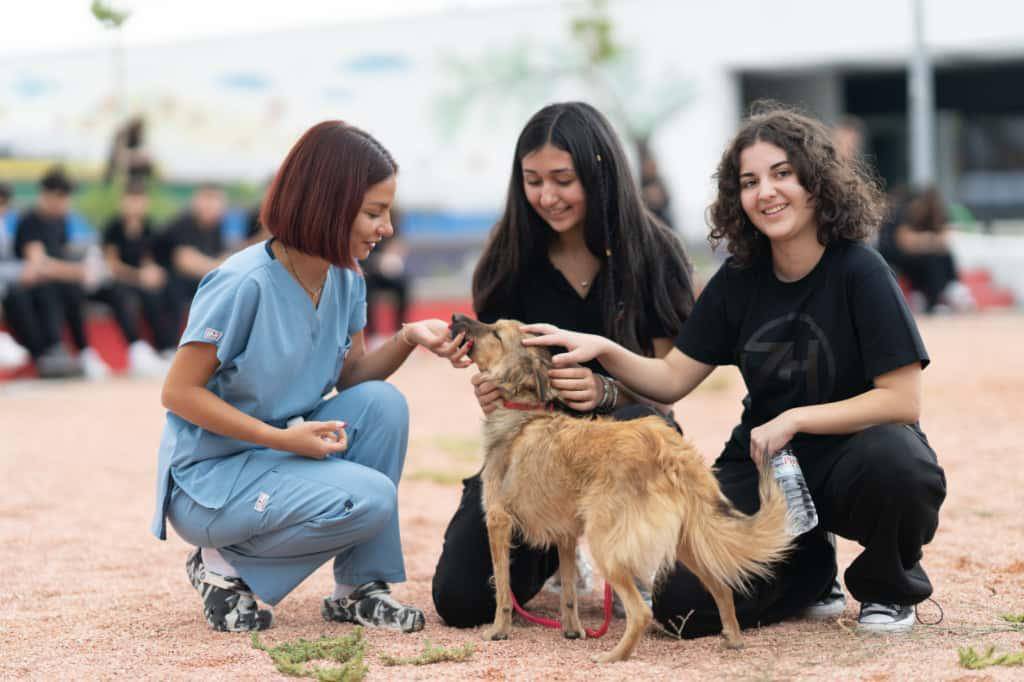 Barınaklardan 3 binin üzerinde hayvan sahiplendirildi