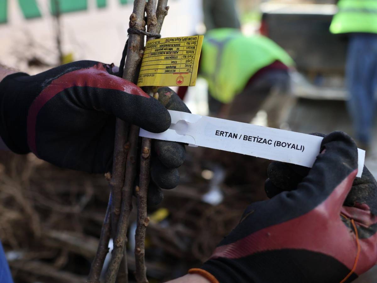 Beydağlı üreticiye çifte destek