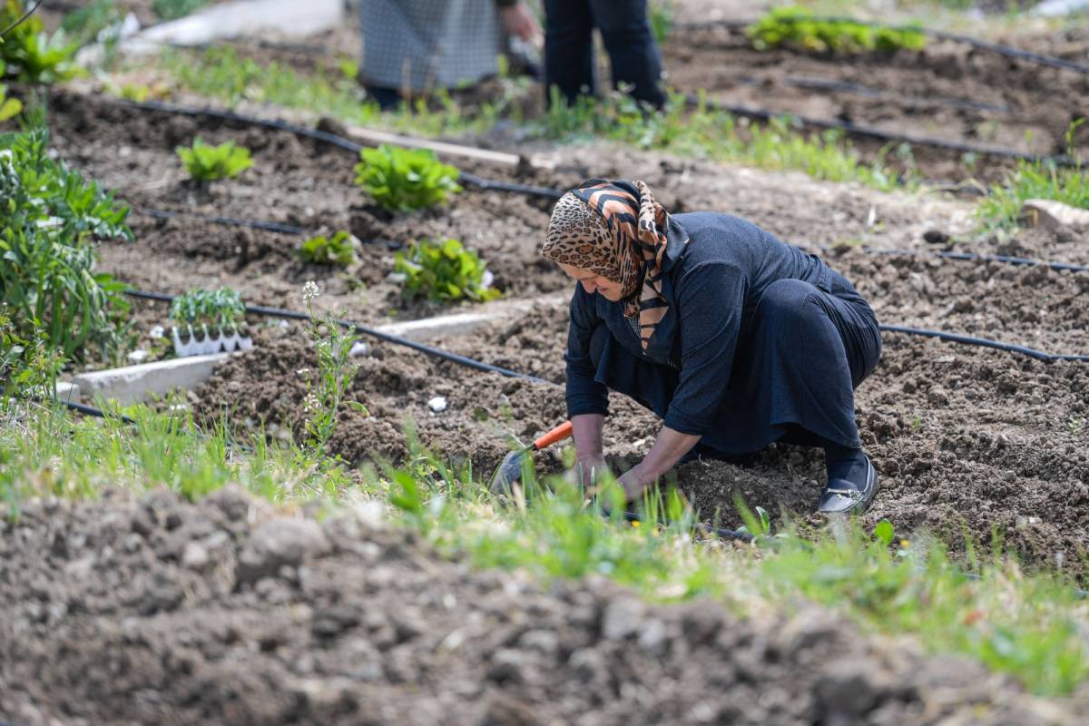 İzmir’de iklim dayanıklılığı güçleniyor