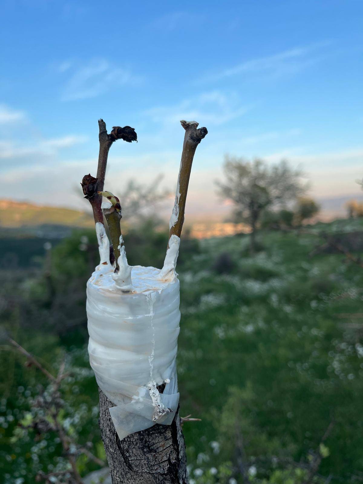 Bergama'dan Üretime Büyük Destek