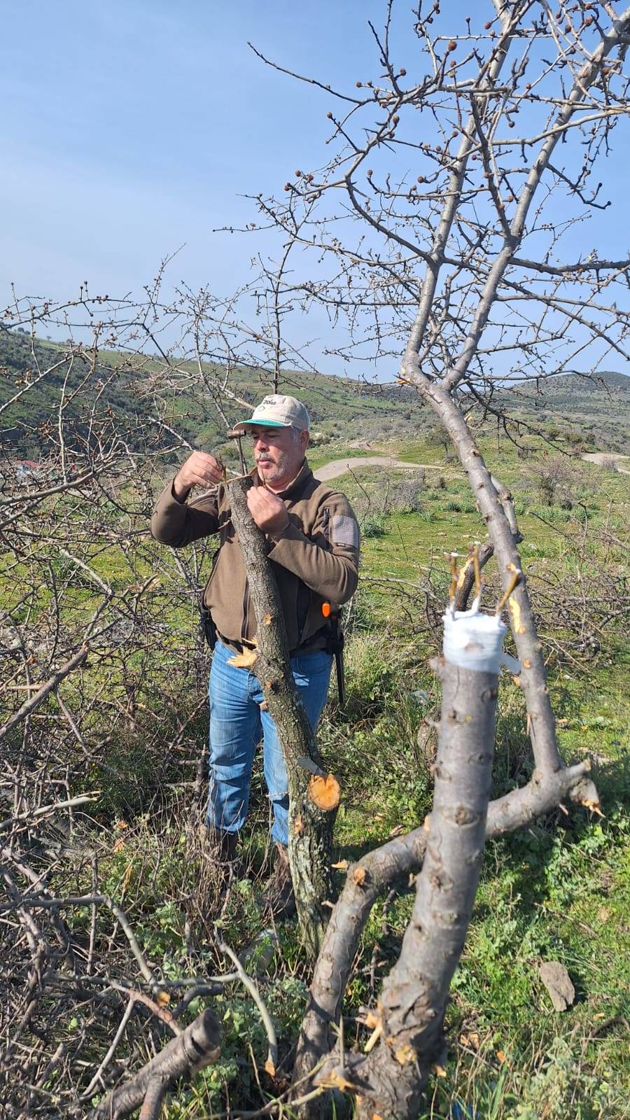 Bergama'dan Üretime Büyük Destek