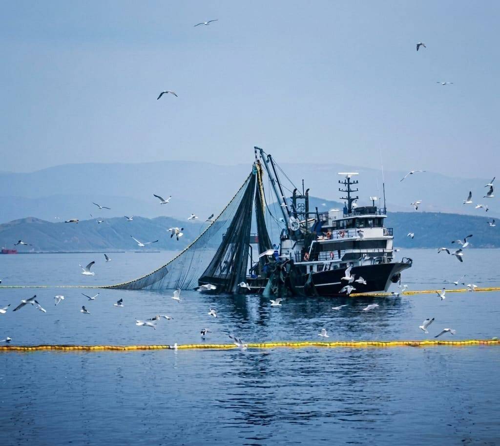 Denizlerde av yasağı 15 Nisan'da başlıyor