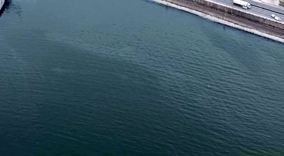 İzmir Körfezi’nde kirlilik alarmı