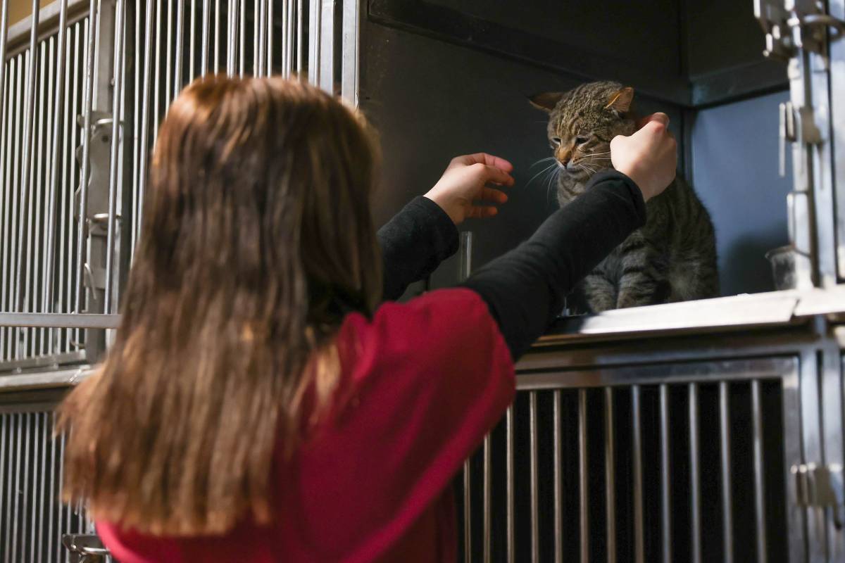 Buca’da 599 patili dost sıcak yuvaya kavuştu