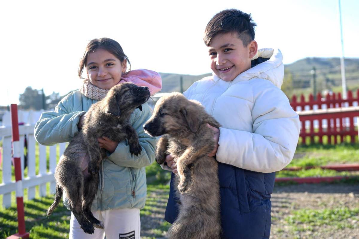 Barınaklardan 3 binin üzerinde hayvan sahiplendirildi