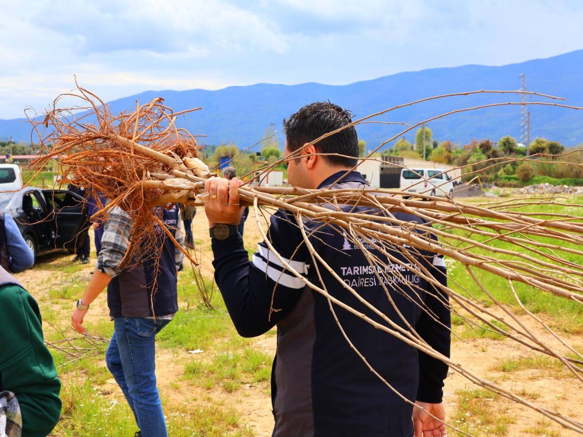 Beydağlı üreticiye çifte destek